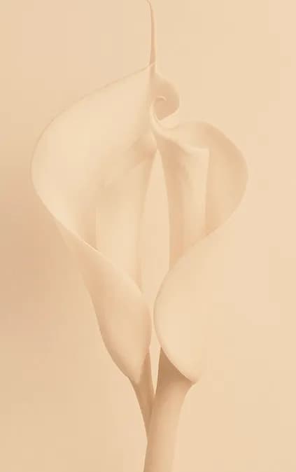 Korrekturen im Intimbereich